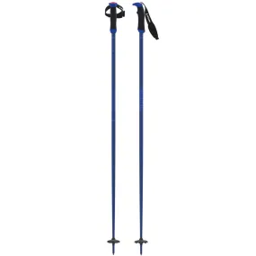 Amt Sqs Ski Poles