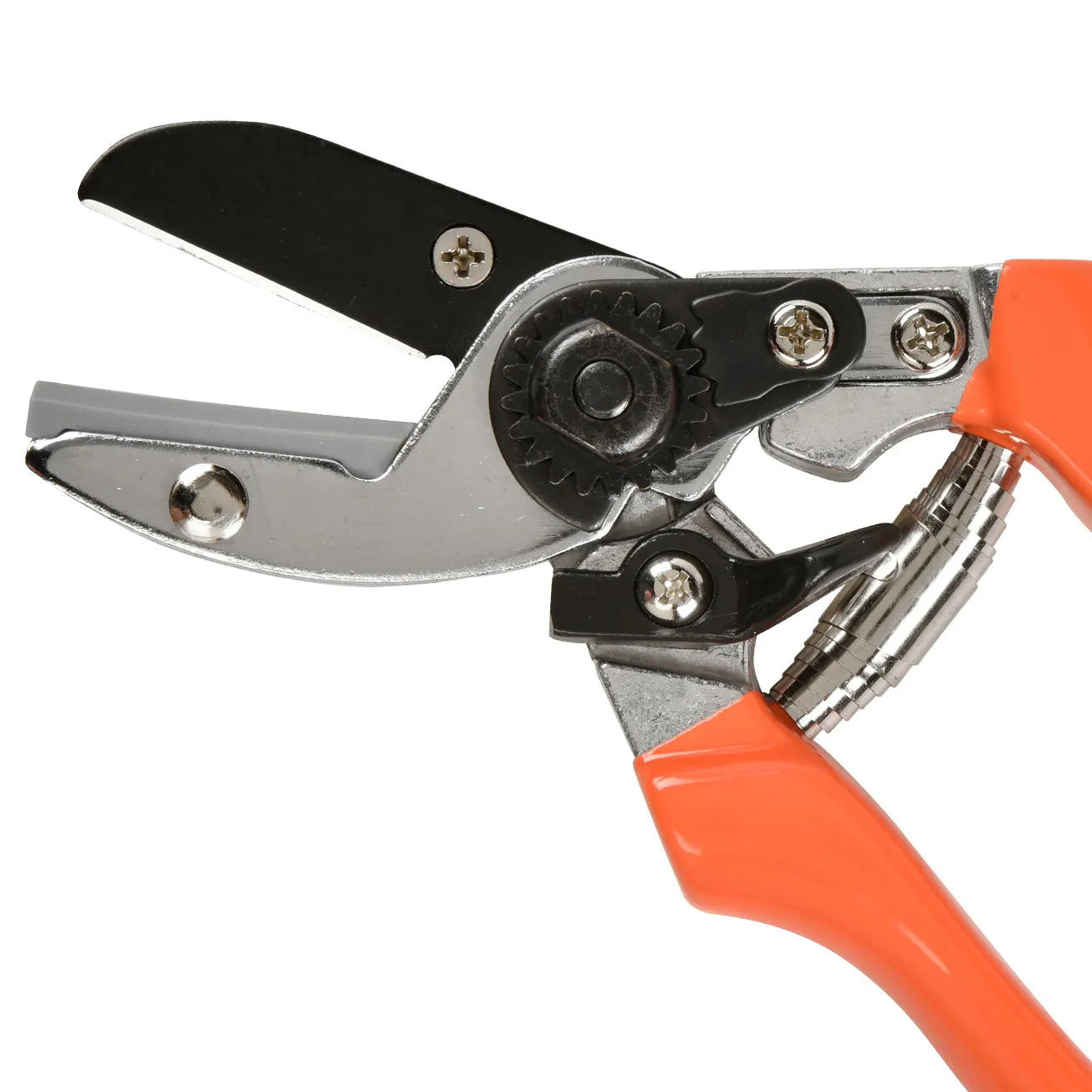 Anvil Secateur - RHS Endorsed