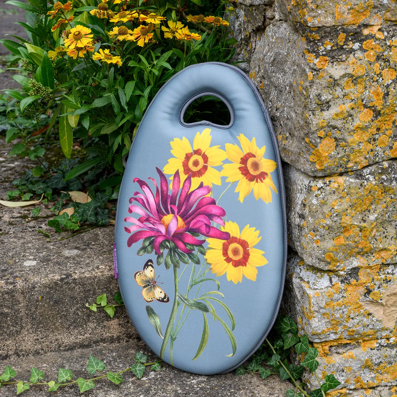 Asteraceae Kneelo® Kneeler