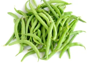 Bean - Blue Lake FM1  (Green Pole Bean) (Seeds)