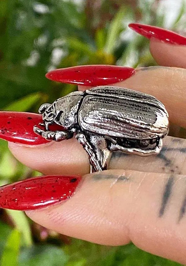 Beetle | RING