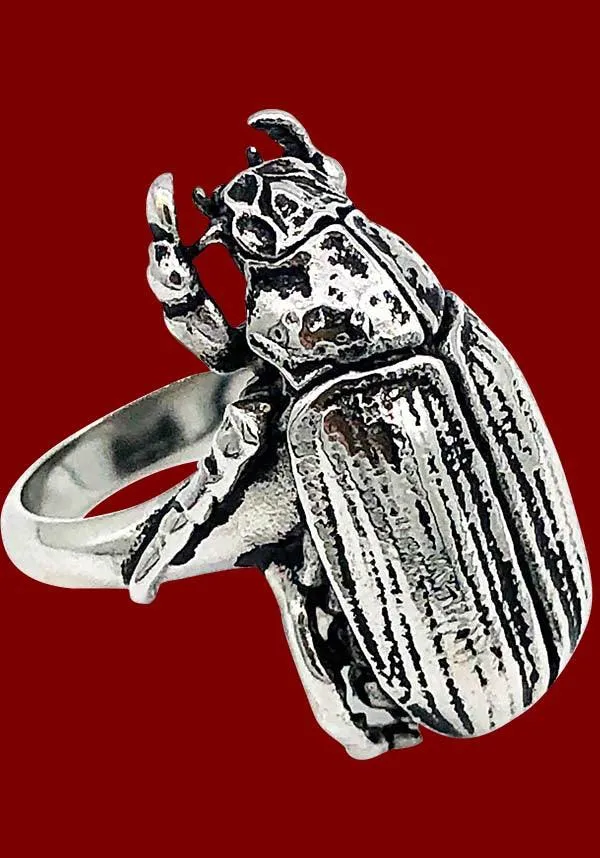 Beetle | RING