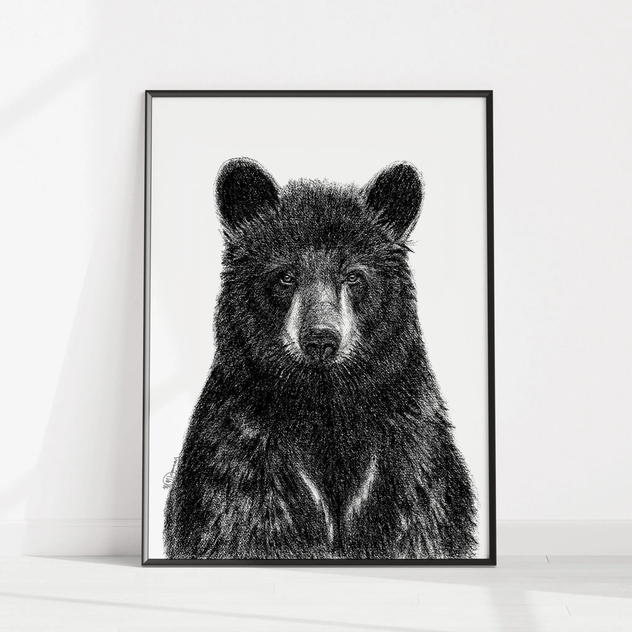 Black Bear Portrait