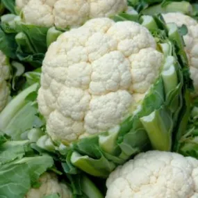 Cauliflower - Super Snowball Self Blanching (Seeds)