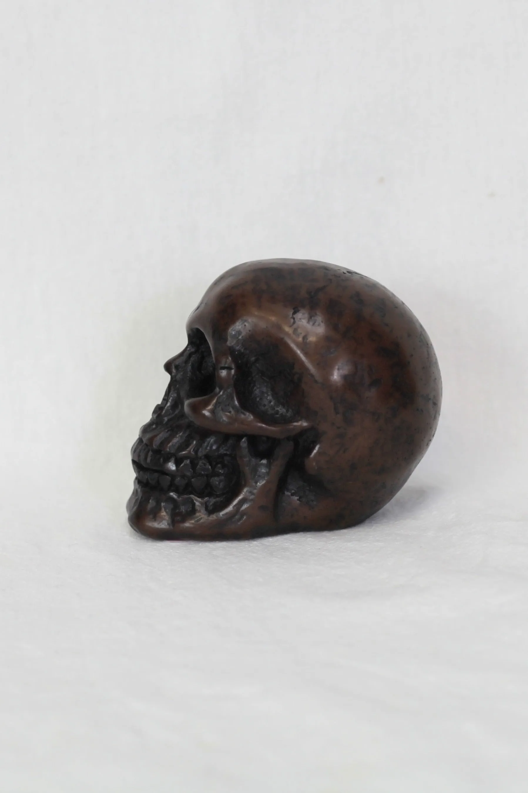 Small Solid Skull